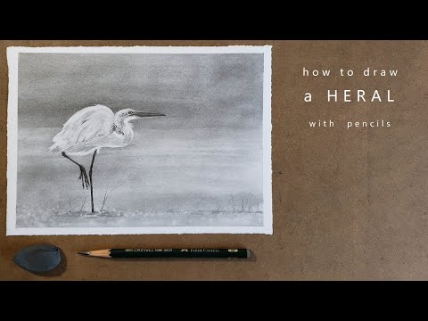 Видео: как нарисовать цаплю как нарисовать птицу