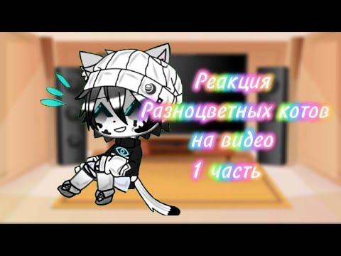 Видео: Реакция разноцветных котов на видео ^^ #РК @BISKASYT