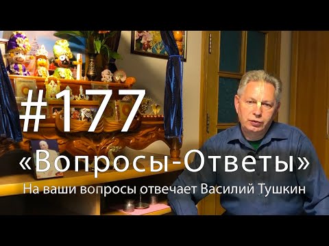 Видео: 2025-06-16 - "Вопросы-Ответы", Выпуск #177 - Василий Тушкин отвечает на ваши вопросы