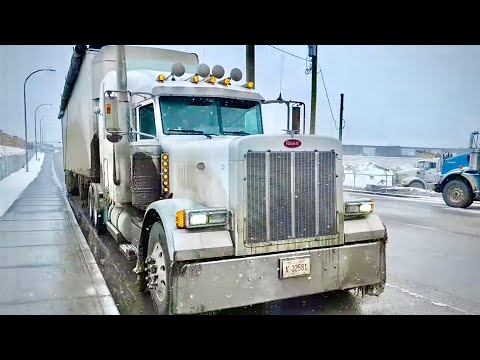 Видео: 163. Peterbilt 379 - привыкаю. Канада, Альберта 2024