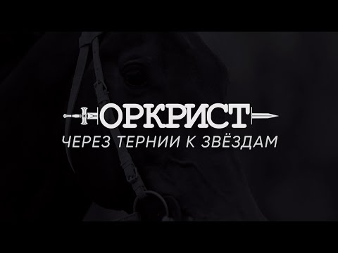 Видео: PRO_Лошадей. Оркрист. 25 февраля 2024 года. 14:10