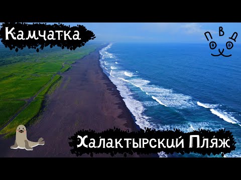 Видео: Камчатка | Халактырский пляж