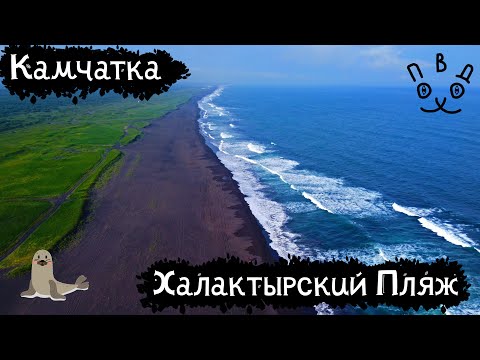 Видео: Камчатка | Халактырский пляж