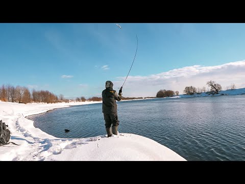 Видео: ЗИМНИЙ СПИННИНГ на Москва-реке. ЧТО ТВОРИТСЯ В ЭТОМ СЕЗОНЕ? Ловля зимой на спиннинг с берега.