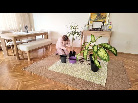 Видео: Slow Living on Rainy Day | Hеспешная жизнь