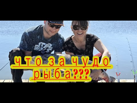 Видео: На рыбалке бывает всё, но ТАКОЕ в первый раз))