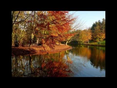 Видео: МАНУШАК