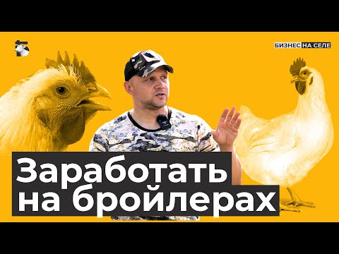 Видео: Оставил автобизнес и уехал в село. Как заработать 200 тысяч в месяц на бройлерах?