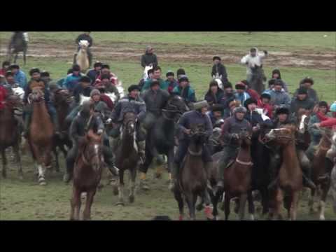 Видео: ОҚО, Шардара ауданы, Зауірбек ағамыздың ас көкпары 13