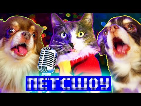 Видео: КЛИП НА МИЛЛИОН - ПОДПЕВАЙ МНЕ - ВОЛШЕБНЫЕ ПИТОМЦЫ ПОЮТ
