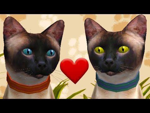 Видео: Симулятор КОТА и КОШКИ #2 Кид завел Подружку Кошку и теперь это Семья Котов на Пурумчата