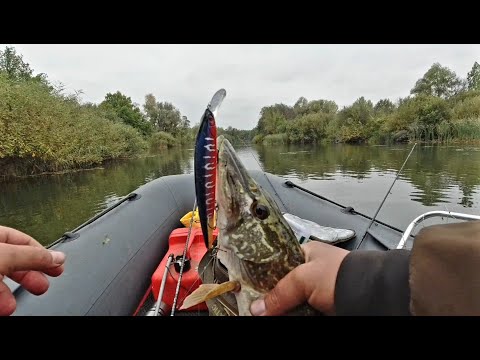 Видео: Ловля щуки в начале октября. Ловля на воблеры.