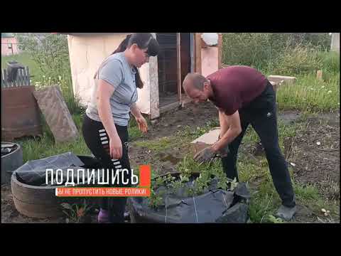 Видео: 25 серия. Грядки под клубнику. Сенокос. Немного про баню