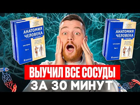 Видео: Ангиология за 30 минут - Все что нужно знать!