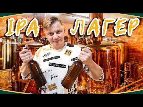 Видео: Домашнее пиво. ИПА и Лагер