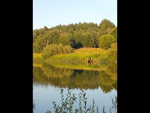 Видео: Отдых на реке, 🐠🐋🐟, шашлык рыбалка