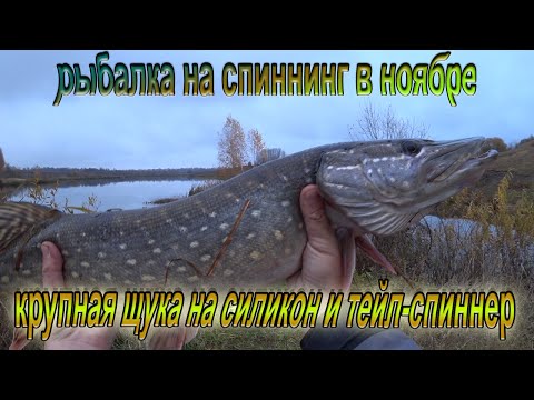 Видео: Крупная щука на силиконовые приманки и тейл-спиннеры! Рыбалка на спиннинг в ноябре, на пруду!