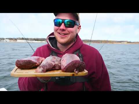 Видео: 3-дневное приключение на лодке-кемпинге