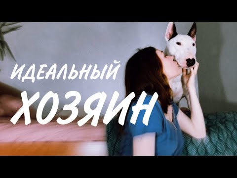 Видео: КОМУ ПОДОЙДЕТ БУЛЬТЕРЬЕР? / ИДЕАЛЬНЫЙ ХОЗЯИН