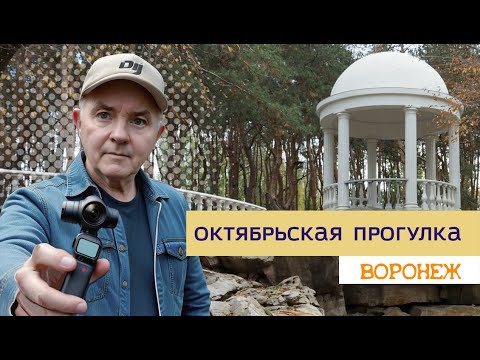 Видео: Октябрьская прогулка, Воронеж 24.10.25г.