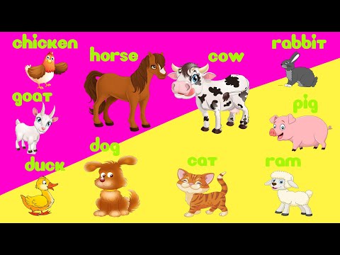 Видео: Английский для детей | Учим животных на английском языке | Домашние животные для детей