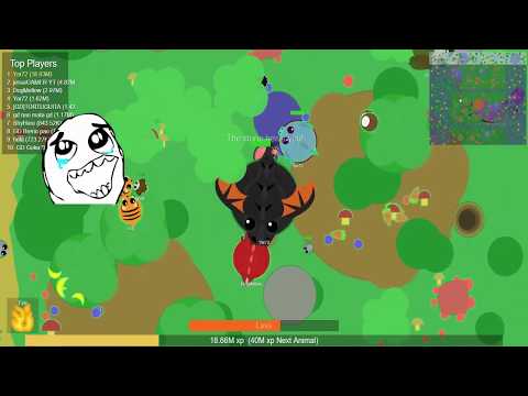 Видео: Mope.io - Прокачка до чёрного дракона