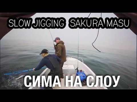 Видео: СЛОУ ДЖИГГИНГ СИМЫ (Slow Jigging Sakura Masu)