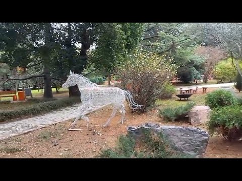 Видео: Вкусно едим, гуляем и никуда уезжать не собираемся.Шторм нас не напугал. 29 ноября 2023 г.