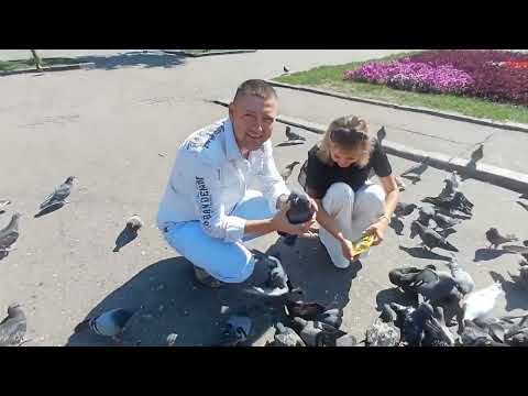 Видео: День молоді, селище Машівка, 2025