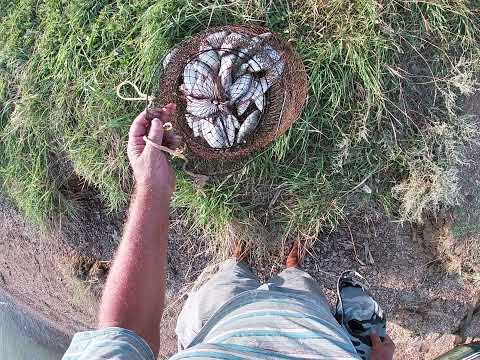 Видео: Рыбалка в Ахтанизовском лимане