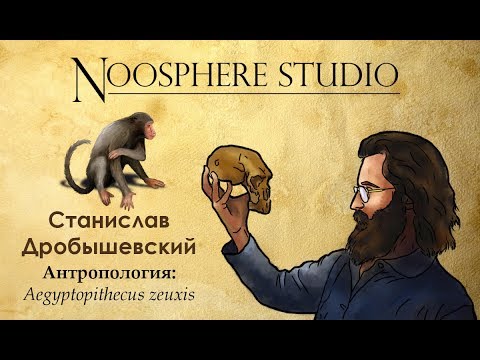 Видео: Антропология: Aegyptopithecus zeuxis. Станислав Дробышевский