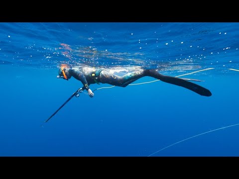Видео: В погоне за гигантским желтоперым тунцом — первое приключение с подводной охотой в открытом море ...