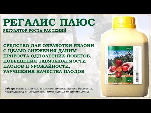 Видео: Регалис Плюс - средство для обработки яблони с целью сокращения длины приростов однолетних побегов
