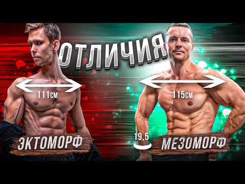 Видео: Главные Отличия ЭКТОМОРФА от МЕЗОМОРФА! (Наглядный пример)
