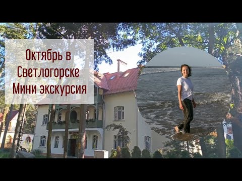 Видео: Октябрь в Светлогорске. Рынок, мини экскурсия по городу