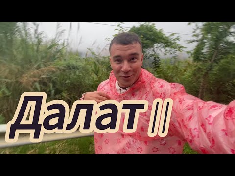 Видео: Кофейная ферма | уличная еда | Далат - часть 2 | ВЛОГ