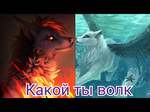 Видео: Какой ты волк по знаку зодиака🐺🐺🐺