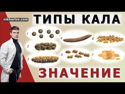Видео: Бристольская шкала формы кала - Расшифровка от гастроэнтеролога. Как выглядит норма, запор, диарея.