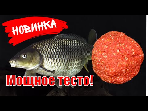 Видео: Лучший КАРПОВЫЙ пластилин 2020 года