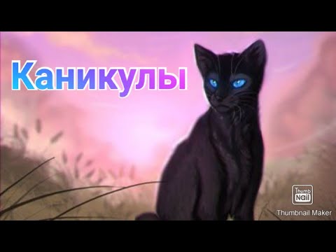 Видео: Коты воители. Клип-Каникулы