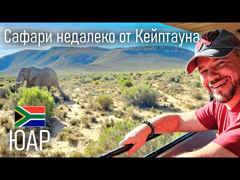 Видео: Сафари недалеко от Кейптауна, ЮАР | 2 серия