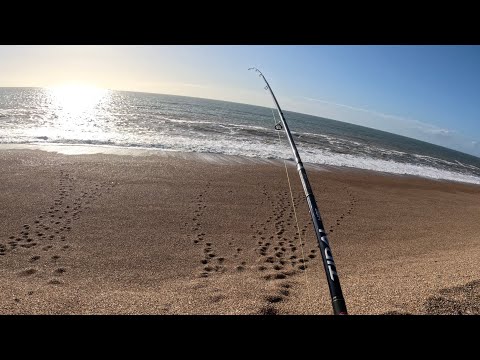 Видео: Пляж Чесил. Великолепная погода и много рыбы! 🎣 👍Морская рыбалка, ноябрь 2025 г.