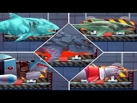 Видео: ОБЗОР ВСЕХ ОСОБЫХ АКУЛ - Hungry Shark Evolution