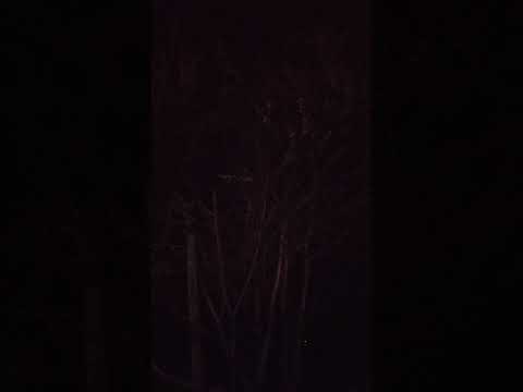 Видео: Муж. Инсульт. Как это было.
