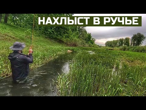 Видео: НАХЛЫСТ x МАЛЕНЬКИЙ РУЧЕЙ x МНОГО ПОКЛЕВОК #86
