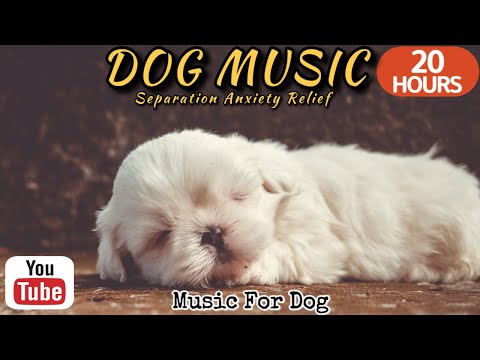 Видео: 20 часов любимой музыки собак🐶💖Музыка для сна собак 🐶🎵 Музыка для снятия беспокойства при разлуке🎵