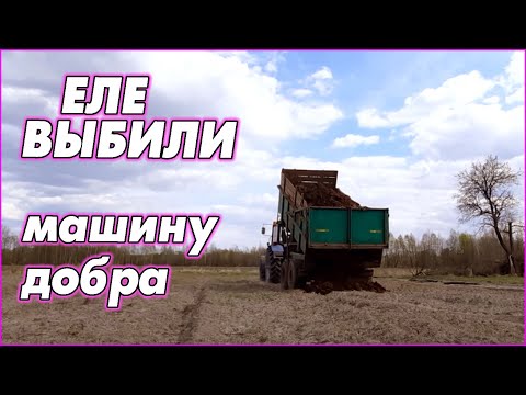 Видео: Интернету хорошему - быть! Долгожданный навоз. Ну и тепличка конечно