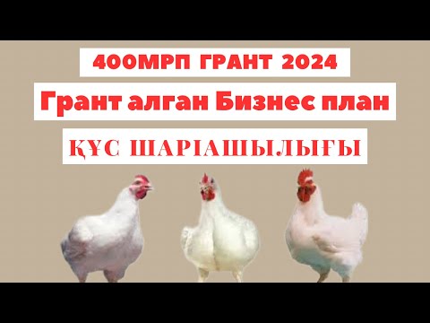 Видео: 400мрп грант 2024 жыл 1 поток | Бизнес план 400мрп 2024 | Бизнес план 2024 | Бизнес план жазу 2024 ж