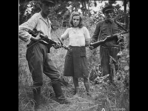Видео: «Вооруженное антисоветское сопротивление в Литве» — Андрюс Тумавичюс | лекция 2, часть 2/2