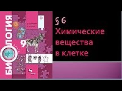 Видео: Биология 9 класс. Химические вещества в клетке